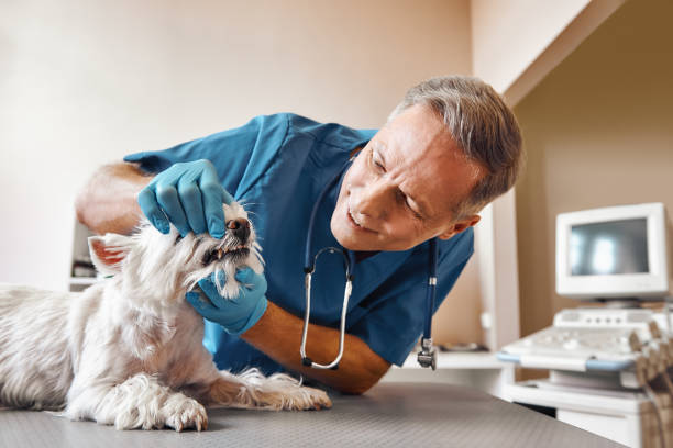 Best Weekend Emergency Dentist in Tallmadge, OH